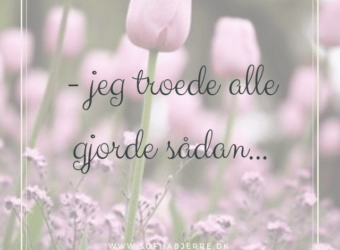 Jeg troede alle gjorde sådan…