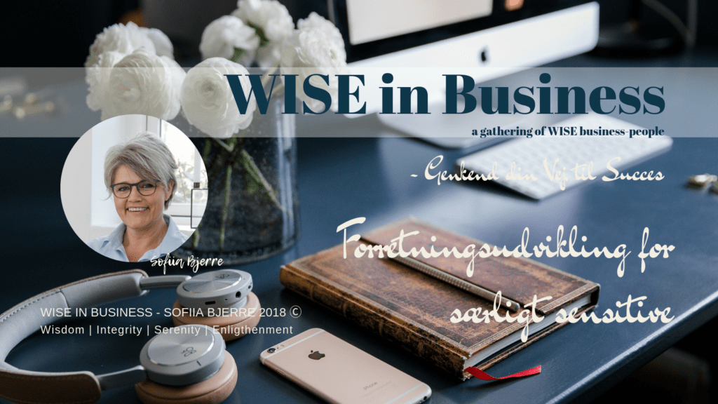 Reglement For WISE In Business – Forretningsudvikling For Særligt ...